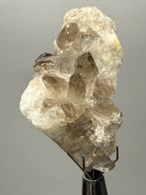 Load image into Gallery viewer, Smoky Quartz Crystal Specimen | Natural Collector Mineral – Brazil
