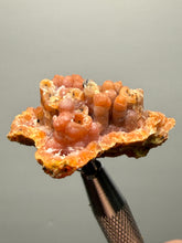 Load image into Gallery viewer, “Goblin Chalcedony” Pink &amp; Orange Druzy Botryoidal Stalactites— Tichka Massif, High Atlas, Morocco

