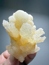 Load image into Gallery viewer, Golden Coral Aragonite Crystal Specimen – Wenshan Mine, Yunnan, China
