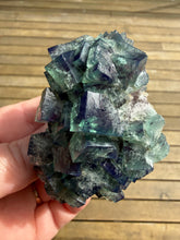 Load image into Gallery viewer, Rare Tenebrescent Color-Changing Cubic Fluorite | Hidden Forest Pocket — Diana Maria Mine, Frosterley, Weardale, County Durham, England
