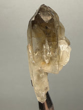 Load image into Gallery viewer, Smoky Quartz Crystal Specimen | Natural Collector Mineral – Brazil
