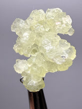 Load image into Gallery viewer, Vibrant Yellow Brucite Thumbnail Mineral Specimen | Collector Crystal from Killa Saifullah District in Balochistan Province, Pakistan
