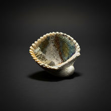 Load image into Gallery viewer, Bivalve (Pelecypoda) Fossil Sea Shell with Chalcopyrite | Mineralized Fossil Specimen | Indonesia
