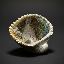 Load image into Gallery viewer, Bivalve (Pelecypoda) Fossil Sea Shell with Chalcopyrite | Mineralized Fossil Specimen | Indonesia
