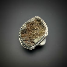 Load image into Gallery viewer, Bivalve (Pelecypoda) Fossil Sea Shell with Chalcopyrite | Mineralized Fossil Specimen | Indonesia
