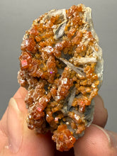 Load image into Gallery viewer, Natural Vanadinite on Matrix | Collector Mineral Specimen | Morocco
