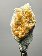 Load image into Gallery viewer, Hessonite Garnet Cluster on Matrix – Natural Collector Specimen from Pakistan | High-Grade Orange-Red Garnet Crystals
