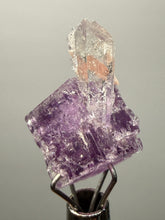 Load image into Gallery viewer, Rhodochrosite + Quartz on Purple Isometric Fluorite (Thumbnail Specimen) | Wutong Mine, China
