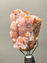 Load image into Gallery viewer, “Goblin Chalcedony” Pink and Red Druzy Botryoidal Stalactites — Tichka Massif, High Atlas, Morocco
