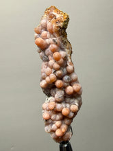 Load image into Gallery viewer, “Goblin Chalcedony” Pink and Red Druzy Botryoidal Stalactites — Tichka Massif, High Atlas, Morocco
