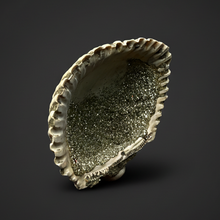 Load image into Gallery viewer, Bivalve (Pelecypoda) Fossil Sea Shell with Chalcopyrite | Mineralized Fossil Specimen | Indonesia

