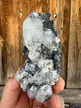 Load image into Gallery viewer, Clear Gem Apophyllite Cluster on black matrix • Maharashtra, India
