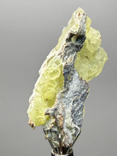 Load image into Gallery viewer, Vibrant Yellow Brucite Thumbnail Mineral Specimen | Collector Crystal from Killa Saifullah District in Balochistan Province, Pakistan
