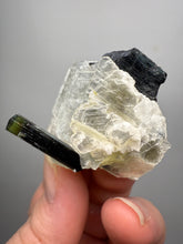 Load image into Gallery viewer, Dark Green Cap Stak Nala Tourmaline on Cleavelandite Matrix – Haramosh Mountains, Pakistan
