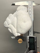 Load image into Gallery viewer, Chichaoua Menalite “Fairy Stone” Concretion | Natural Collector Display Specimen | Morocco
