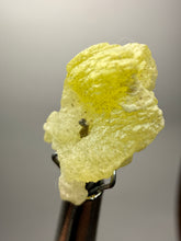 Load image into Gallery viewer, Vibrant Yellow Brucite Thumbnail Mineral Specimen | Collector Crystal from Killa Saifullah District in Balochistan Province, Pakistan
