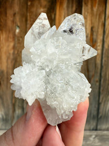 Clear Gem Apophyllite + Apophyllite Flower Stalactites • Maharashtra, India