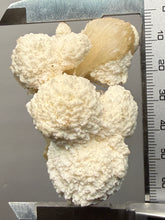 Load image into Gallery viewer, High-Grade Botryoidal Mordenite &amp; Peach Stilbite — Zeolite Mineral Specimen | Maharashtra, India
