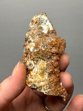 Load image into Gallery viewer, Natural Vanadinite on Matrix | Collector Mineral Specimen | Morocco
