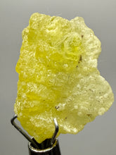 Load image into Gallery viewer, Vibrant Yellow Brucite Thumbnail Mineral Specimen | Collector Crystal from Killa Saifullah District in Balochistan Province, Pakistan
