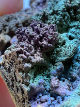 Load image into Gallery viewer, Iridescent Rainbow Turgite Mineral Specimen from Umklum Mountain, Thailand | Collector-Grade Rainbow Hematite Display Piece
