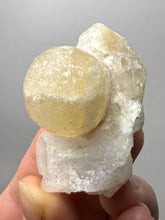 Load image into Gallery viewer, Rare Botryoidal Yellow Fluorite on Quartz Matrix  Collector Mineral Specimen – Maharashtra, India

