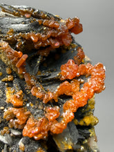 Load image into Gallery viewer, Natural Vanadinite on Matrix | Collector Mineral Specimen | Morocco
