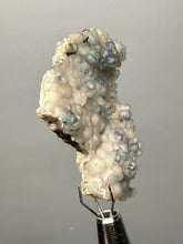 Load image into Gallery viewer, Blue-Green Chrysocolla in Botryoidal Chalcedony Cabinet Specimen | Indonesia
