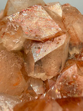 Load image into Gallery viewer, Rare Red Druzy Apophyllite with Red Stilbite Cluster | India | Collector Mineral Specimen
