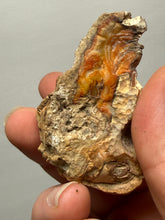 Load image into Gallery viewer, Premium Sumatra Agate Pair (Banded Chalcedony) Display Specimen | Indonesia
