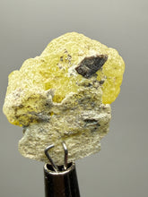 Load image into Gallery viewer, Vibrant Yellow Brucite Thumbnail Mineral Specimen | Collector Crystal from Killa Saifullah District in Balochistan Province, Pakistan
