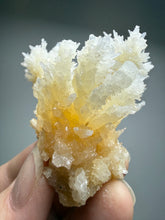 Load image into Gallery viewer, High-Grade Coral Aragonite Crystal Specimen – Wenshan Mine, Yunnan, China
