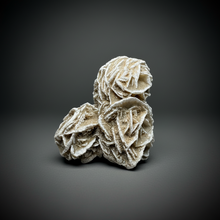 Load image into Gallery viewer, Desert Rose Selenite (Gypsum) — Mineral Display Specimen | Mexico

