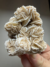 Load image into Gallery viewer, Desert Rose Selenite (Gypsum) — Mineral Display Specimen | Mexico
