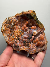 Load image into Gallery viewer, “Goblin Chalcedony” Pink &amp; Orange Druzy Botryoidal Stalactites — Tichka Massif, High Atlas, Morocco
