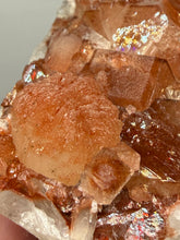 Load image into Gallery viewer, Rare Red Apophyllite + Druzy Red Stilbite Flowers — Deccan Traps, India
