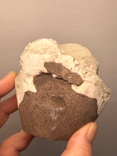 Load image into Gallery viewer, High-Grade “Dream Cloud” Druzy Chalcedony Stalactite — Maharashtra, India (Collector Display Specimen)
