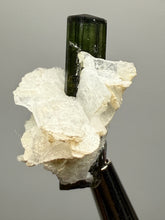 Load image into Gallery viewer, Dark Green Stak Nala Tourmaline and Cleavelandite – Haramosh Mountains, Pakistan | Thumbnail Specimen

