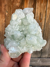 Load image into Gallery viewer, Mint Green Apophyllite Cluster • Maharashtra, India
