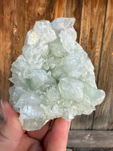 Mint Green Apophyllite Cluster • Maharashtra, India