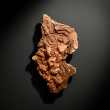 Load image into Gallery viewer, Chalcedony Quartz Rose Agate Collector Mineral Specimen – Morocco
