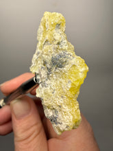 Load image into Gallery viewer, Vibrant Yellow Brucite Thumbnail Mineral Specimen | Collector Crystal from Killa Saifullah District in Balochistan Province, Pakistan
