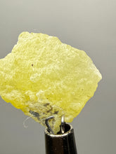 Load image into Gallery viewer, Vibrant Yellow Brucite Thumbnail Mineral Specimen | Collector Crystal from Killa Saifullah District in Balochistan Province, Pakistan
