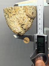 Load image into Gallery viewer, Premium Sumatra Agate (Banded Chalcedony) Display Specimen | Indonesia
