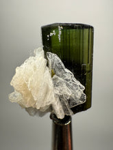 Load image into Gallery viewer, Dark Green Stak Nala Tourmaline and Cleavelandite – Haramosh Mountains, Pakistan | Thumbnail Specimen

