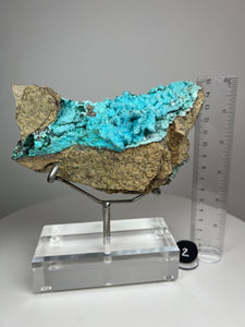 Chrysocolla Druzy Botryoidal Stalactites Pseudomorph after Malachite on Matrix from Congo • Fine Mineral Collector’s Showpiece