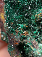 Load image into Gallery viewer, Brochantite Collector Mineral Specimen – Vivid Green Copper Crystals from Morocco
