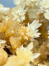 Load image into Gallery viewer, 1.5” High-Grade Flower Calcite Crystal Specimen | Wenshan Mine, Yunnan, China | Collector Mineral Display
