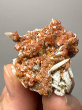 Load image into Gallery viewer, Natural Vanadinite on Matrix | Collector Mineral Specimen | Morocco
