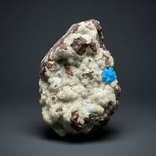 Load image into Gallery viewer, Rare Electric Blue Pentagonite on Druzy Matrix – Collector Mineral Specimen | India
